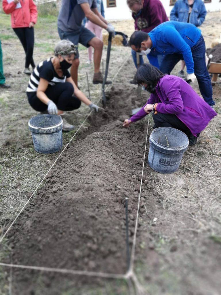 preparando bancal biointensivo